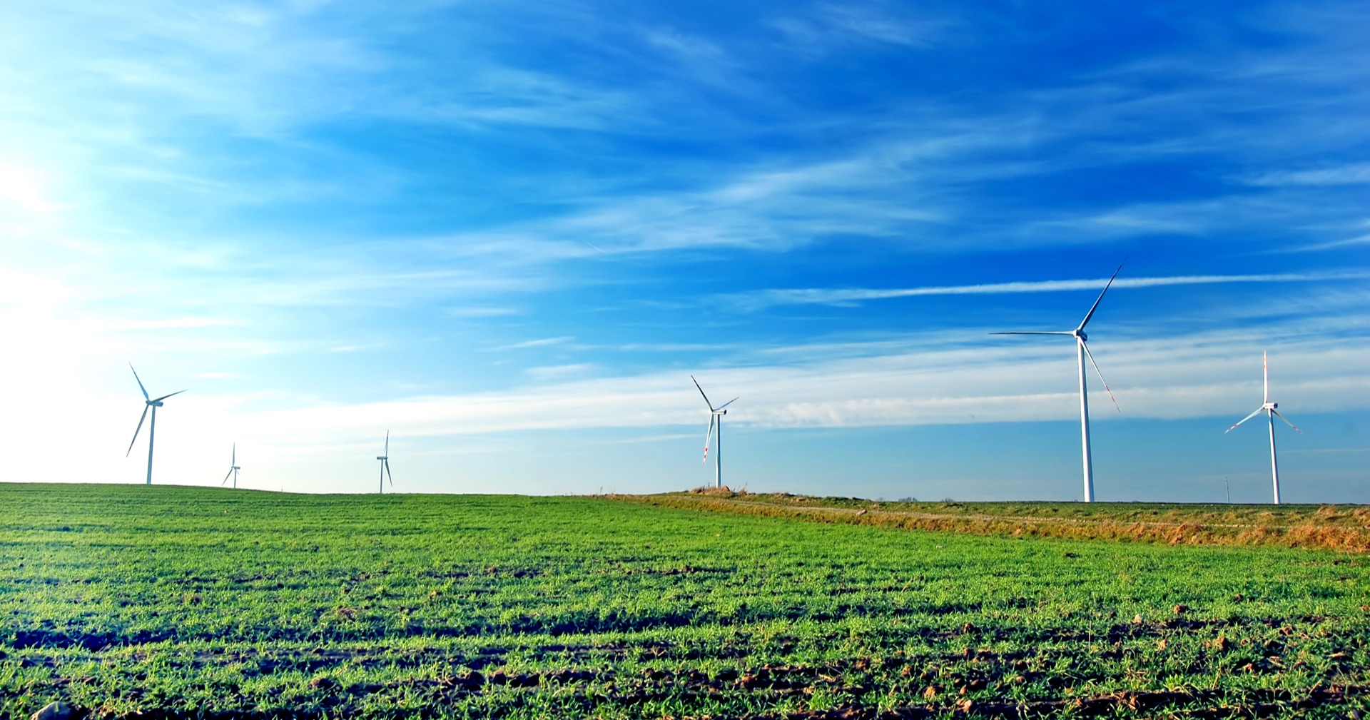 緑の農地に立つ風力発電機