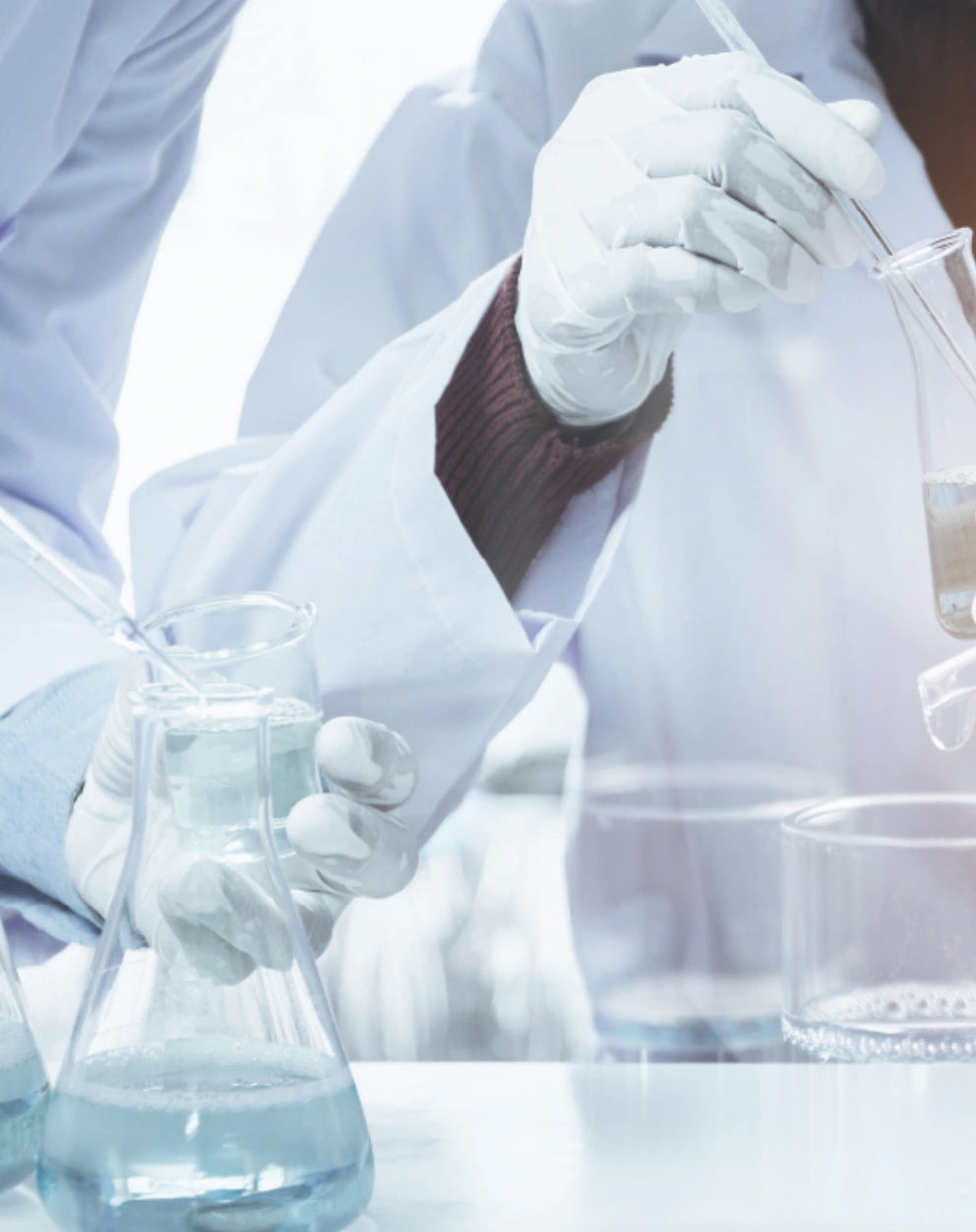 Laboratory researchers preparing cell culture samples