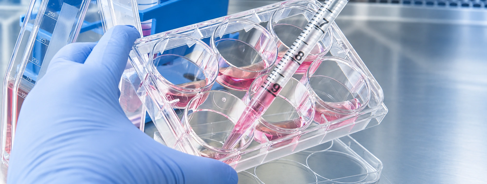 Laboratory cell culture and diagnostic research